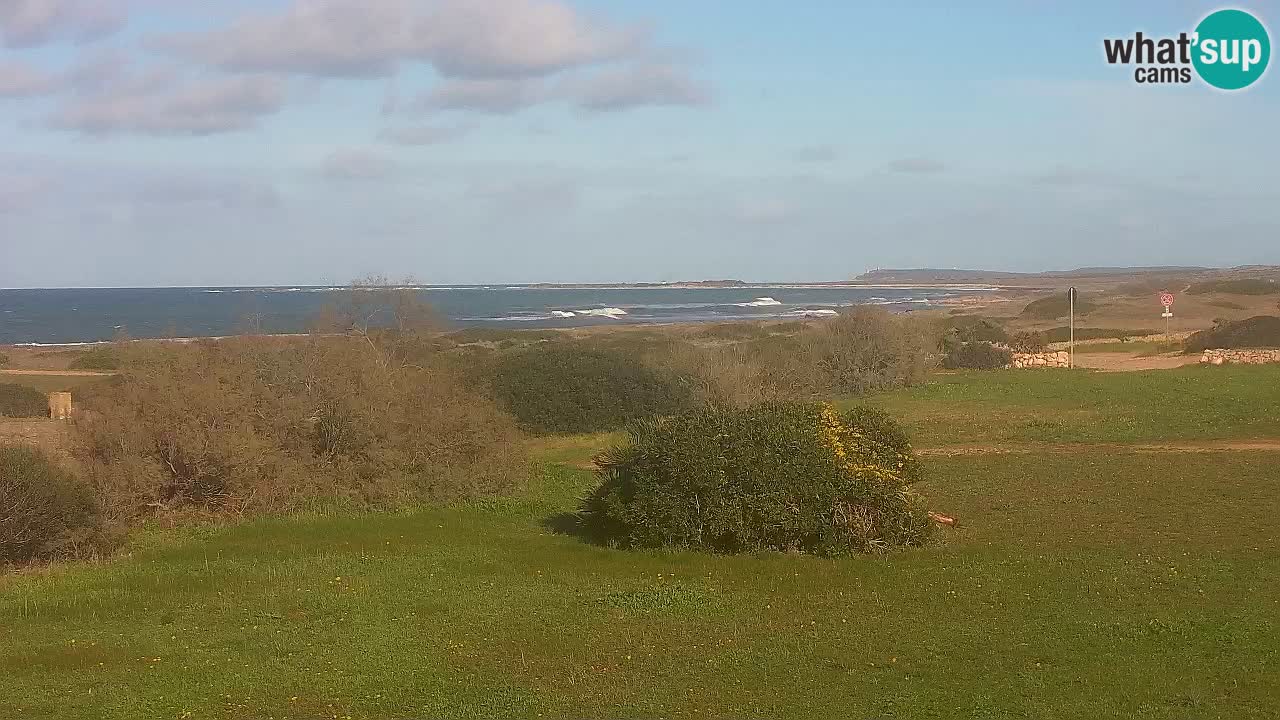 Mari Ermi beach | Is Arutas – Oristano