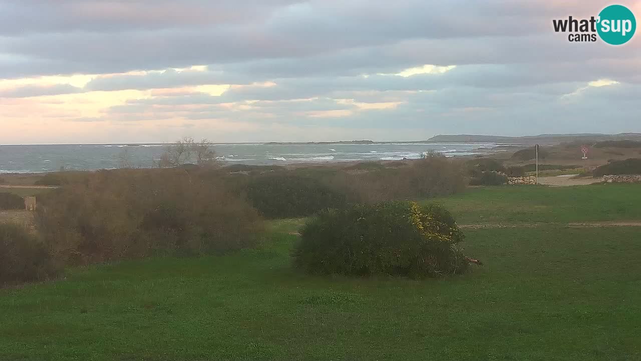 Mari Ermi beach | Is Arutas – Oristano