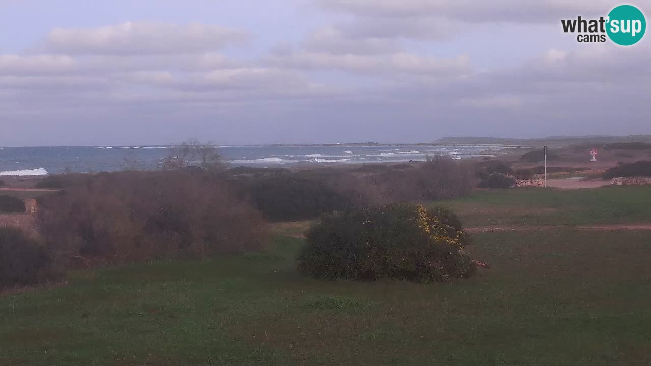 Plage Mari Ermi | Is Arutas – Oristano