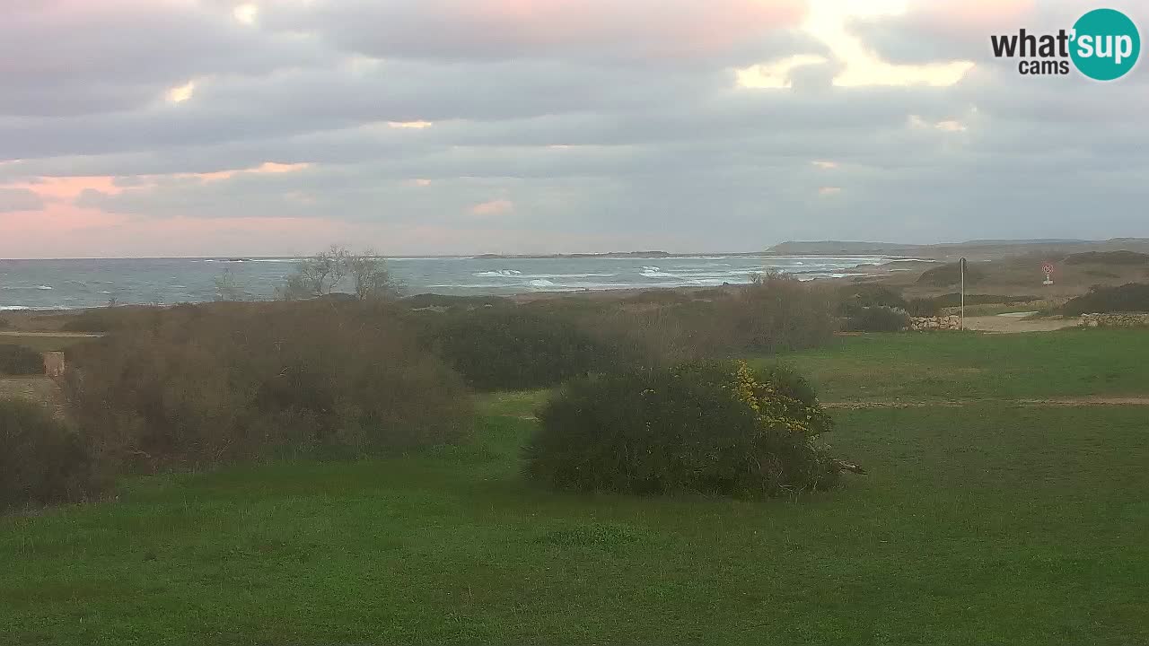 Mari Ermi Strand | Is Arutas – Oristano