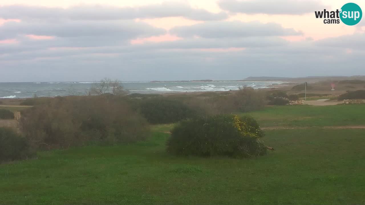 Mari Ermi Strand | Is Arutas – Oristano