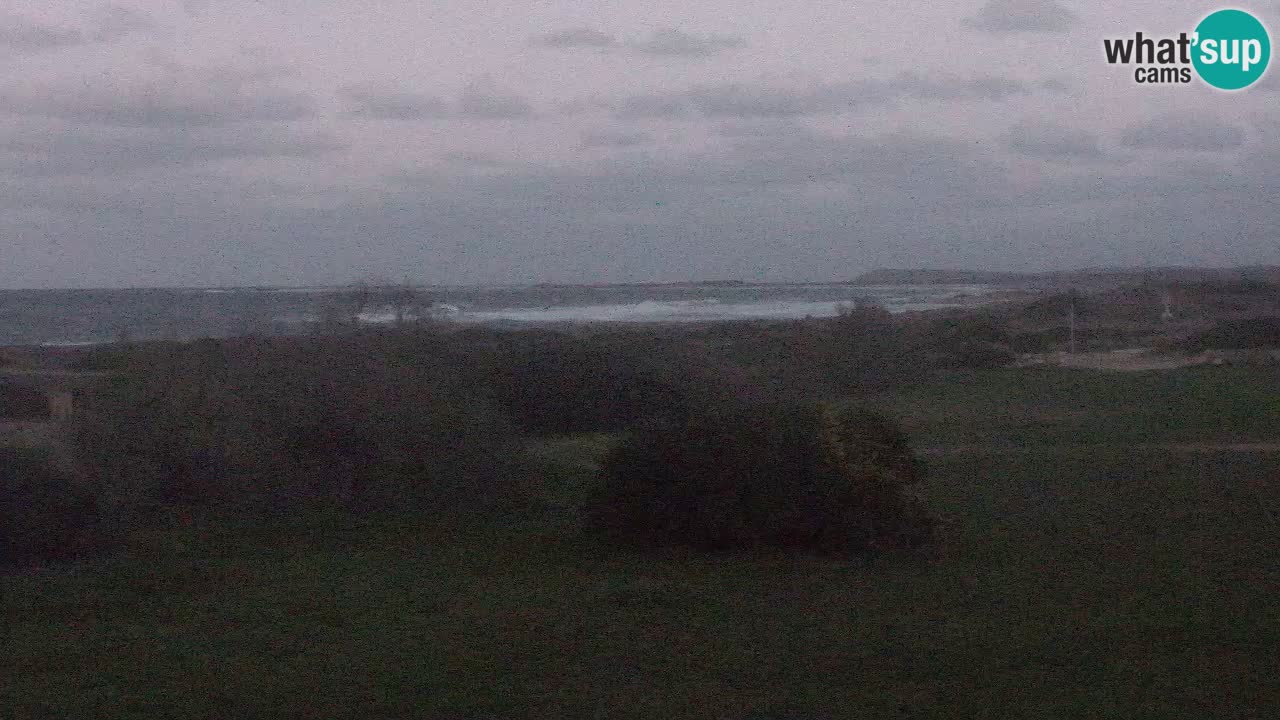 Mari Ermi Strand | Is Arutas – Oristano