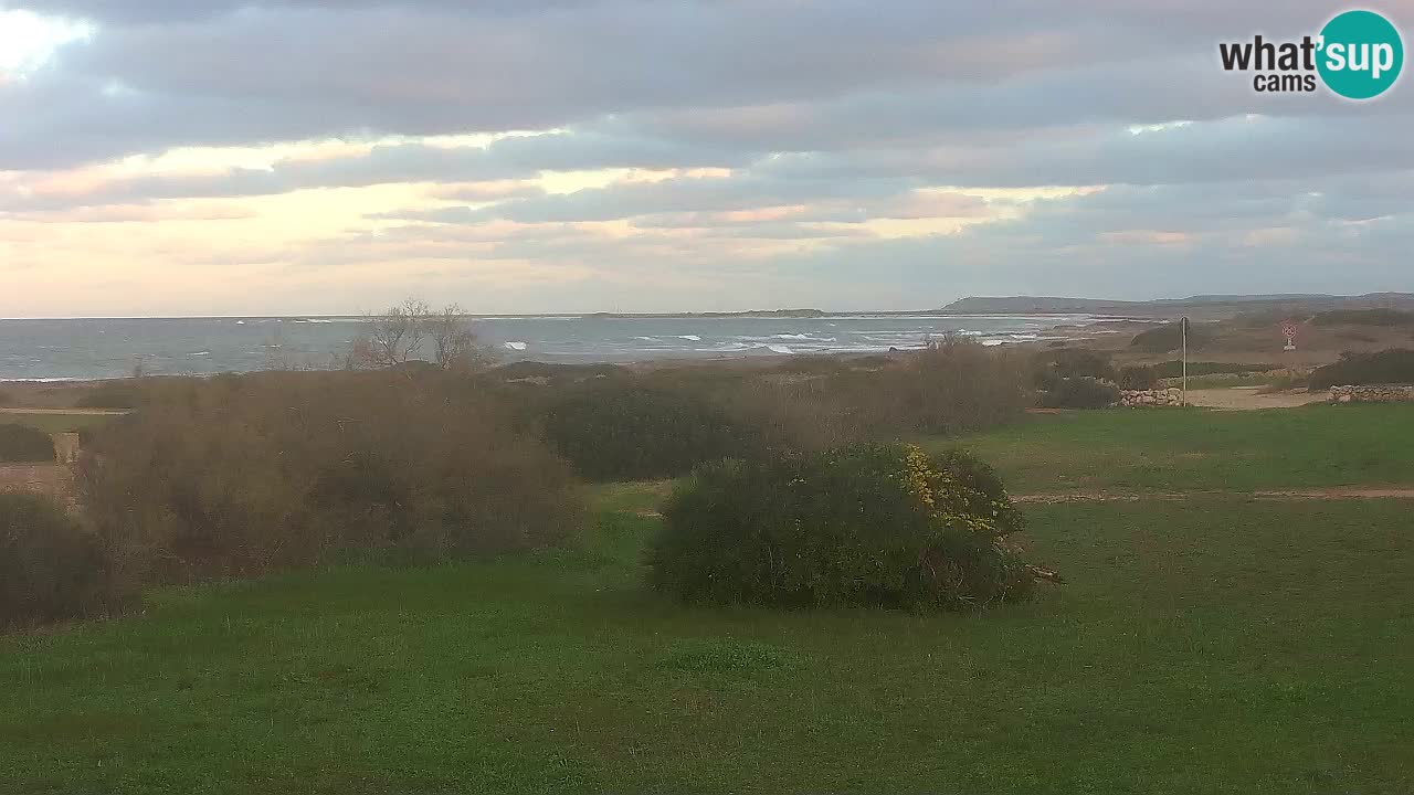 Playa Mari Ermi | Is Arutas – Oristano