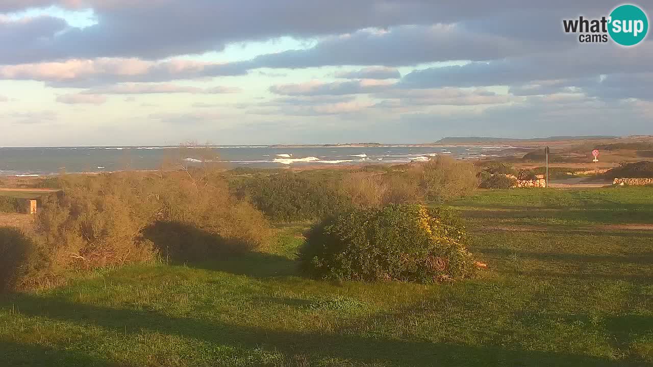 Mari Ermi Strand | Is Arutas – Oristano
