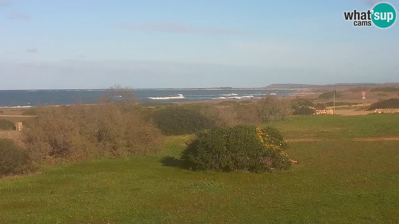 Mari Ermi Strand | Is Arutas – Oristano