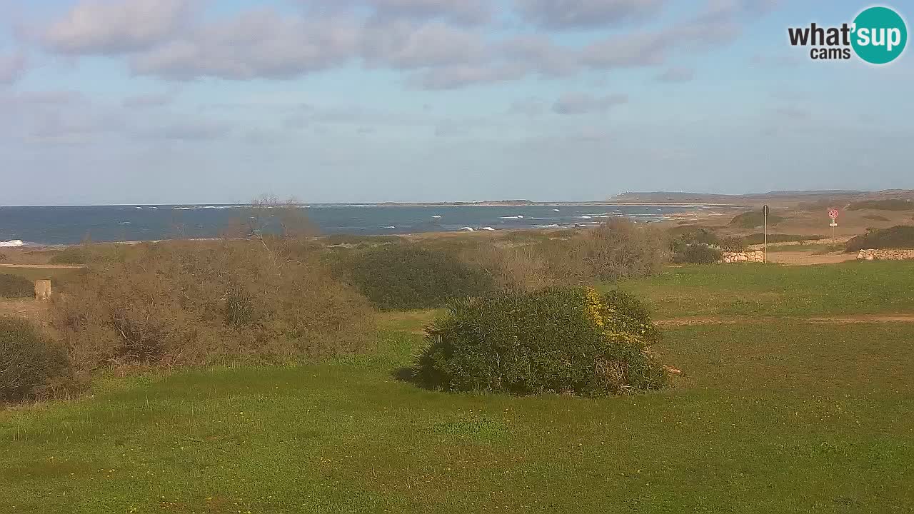 Playa Mari Ermi | Is Arutas – Oristano