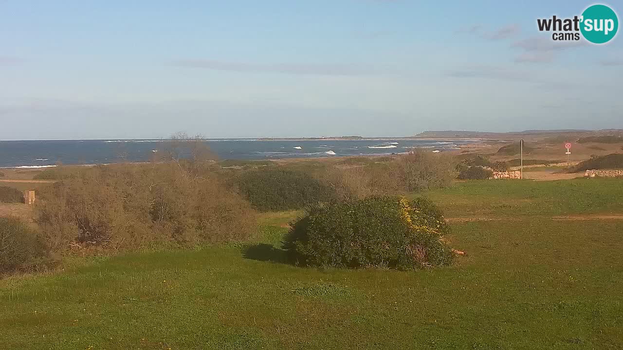 Mari Ermi Strand | Is Arutas – Oristano