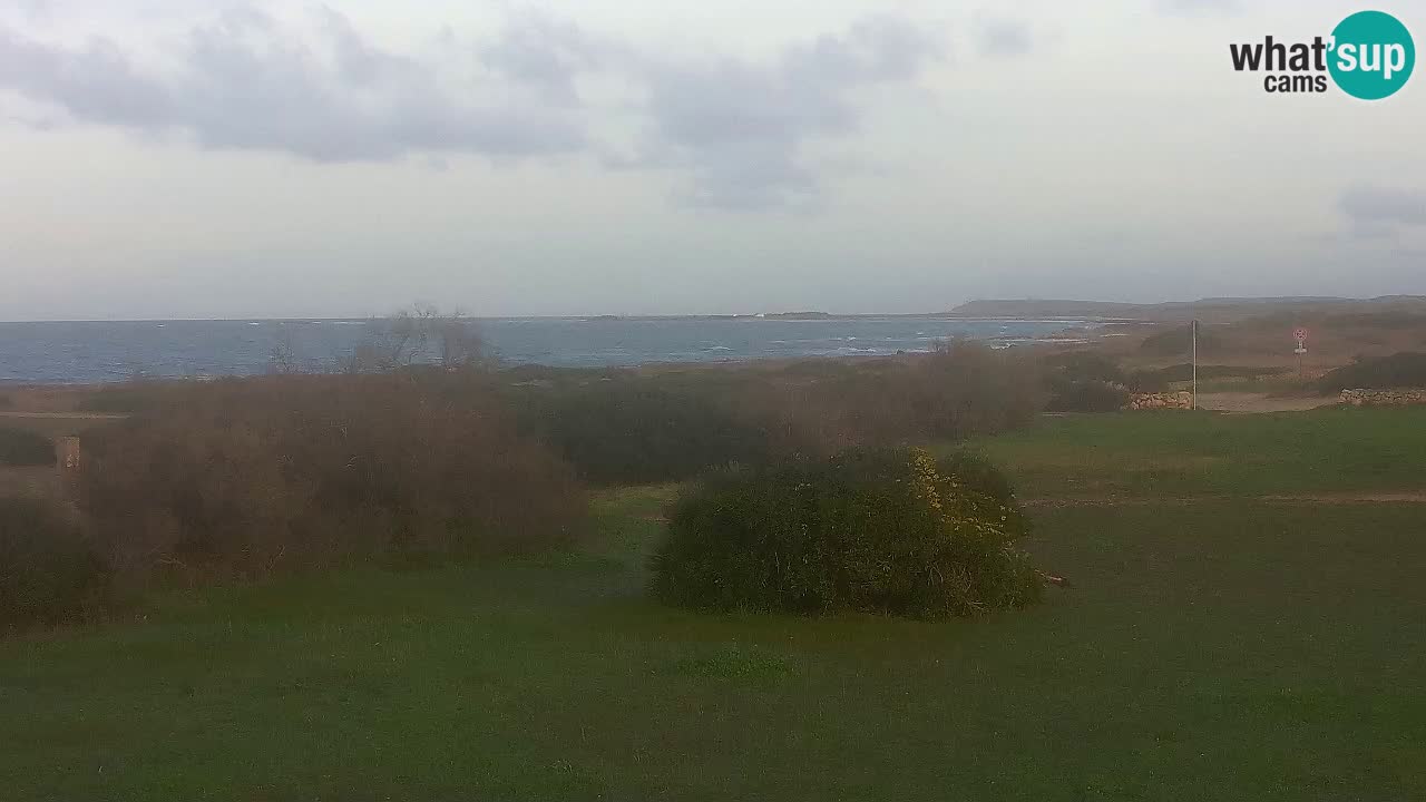 Plaža Mari Ermi | Is Arutas – Oristano