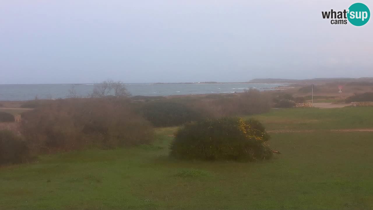 Playa Mari Ermi | Is Arutas – Oristano