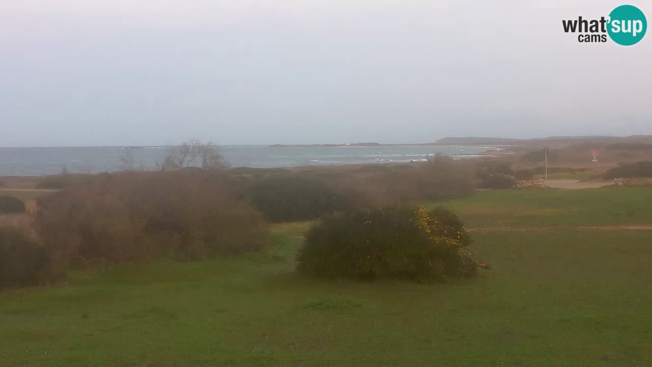 Mari Ermi Strand | Is Arutas – Oristano