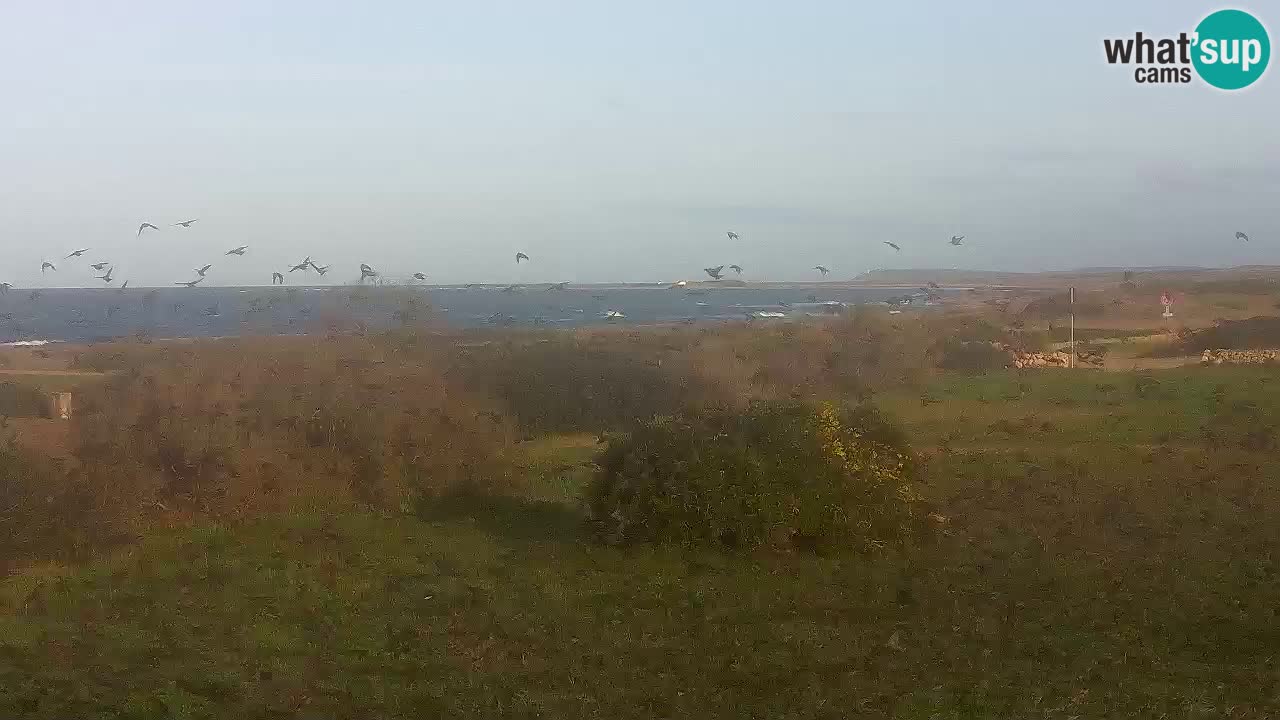 Mari Ermi Strand | Is Arutas – Oristano