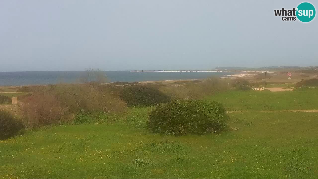 Mari Ermi beach | Is Arutas – Oristano