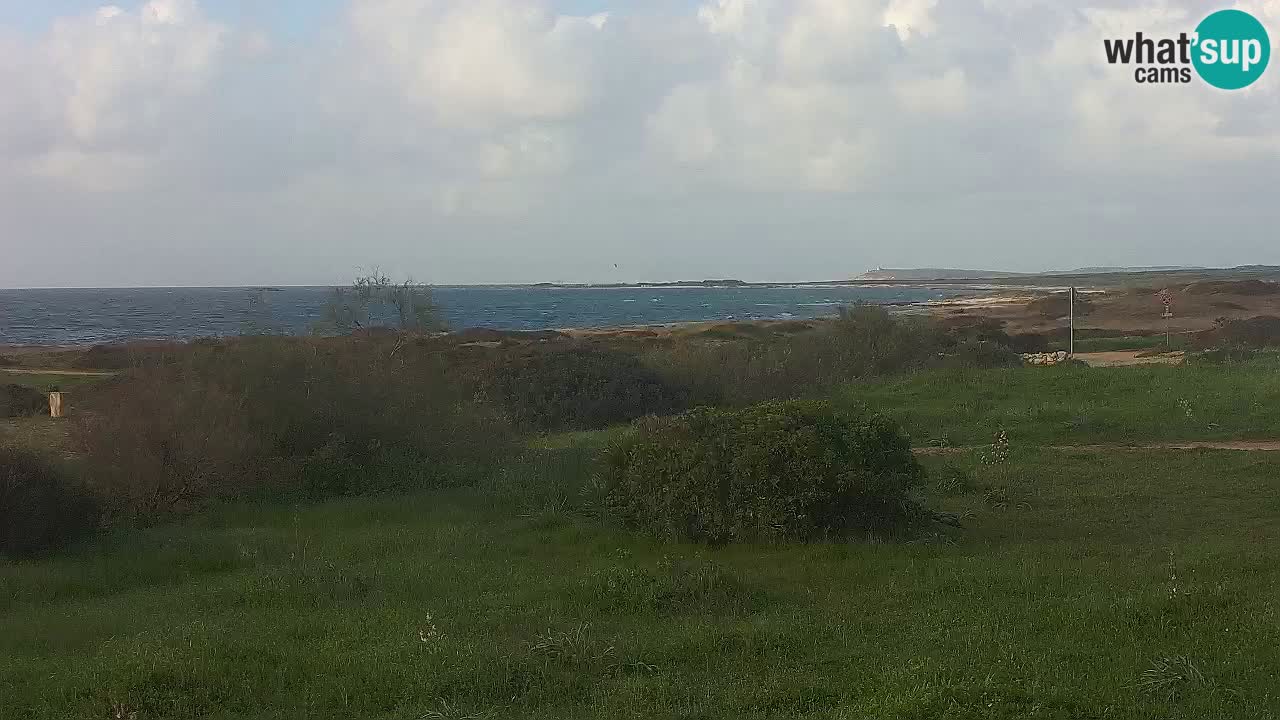 Mari Ermi beach | Is Arutas – Oristano