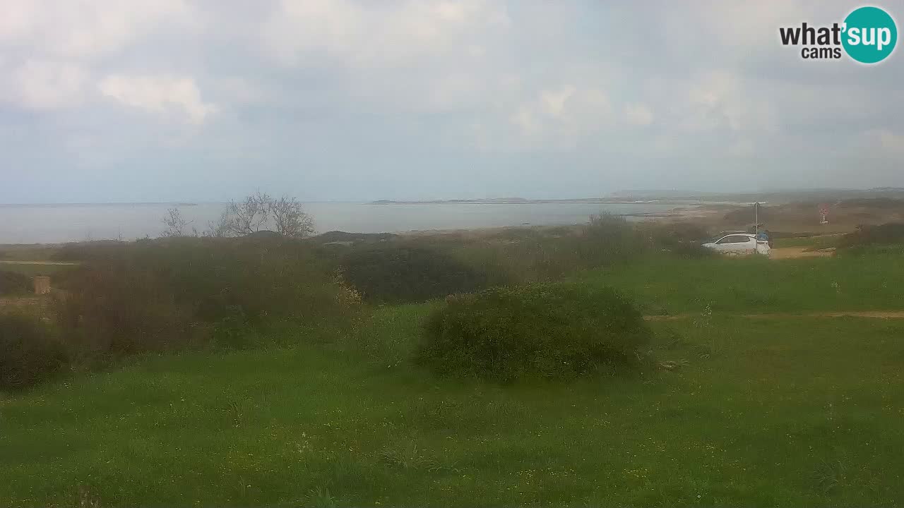 Playa Mari Ermi | Is Arutas – Oristano