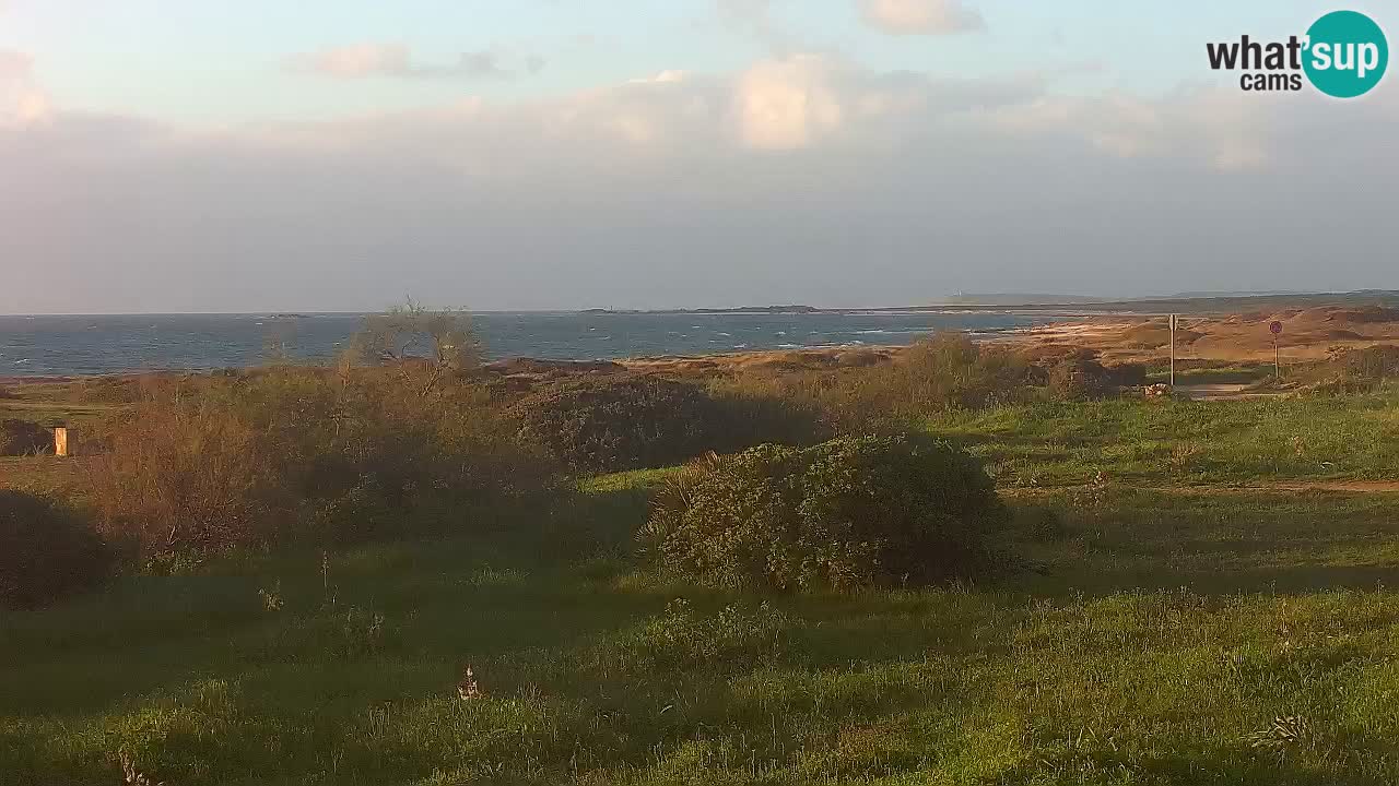 Plaža Mari Ermi | Is Arutas – Oristano