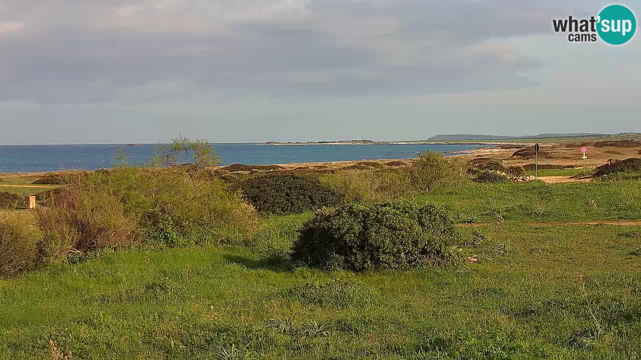 Mari Ermi beach | Is Arutas – Oristano