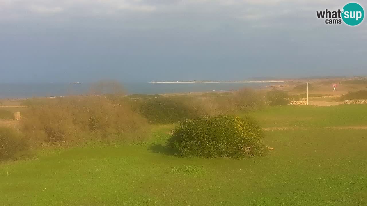 Mari Ermi Strand | Is Arutas – Oristano