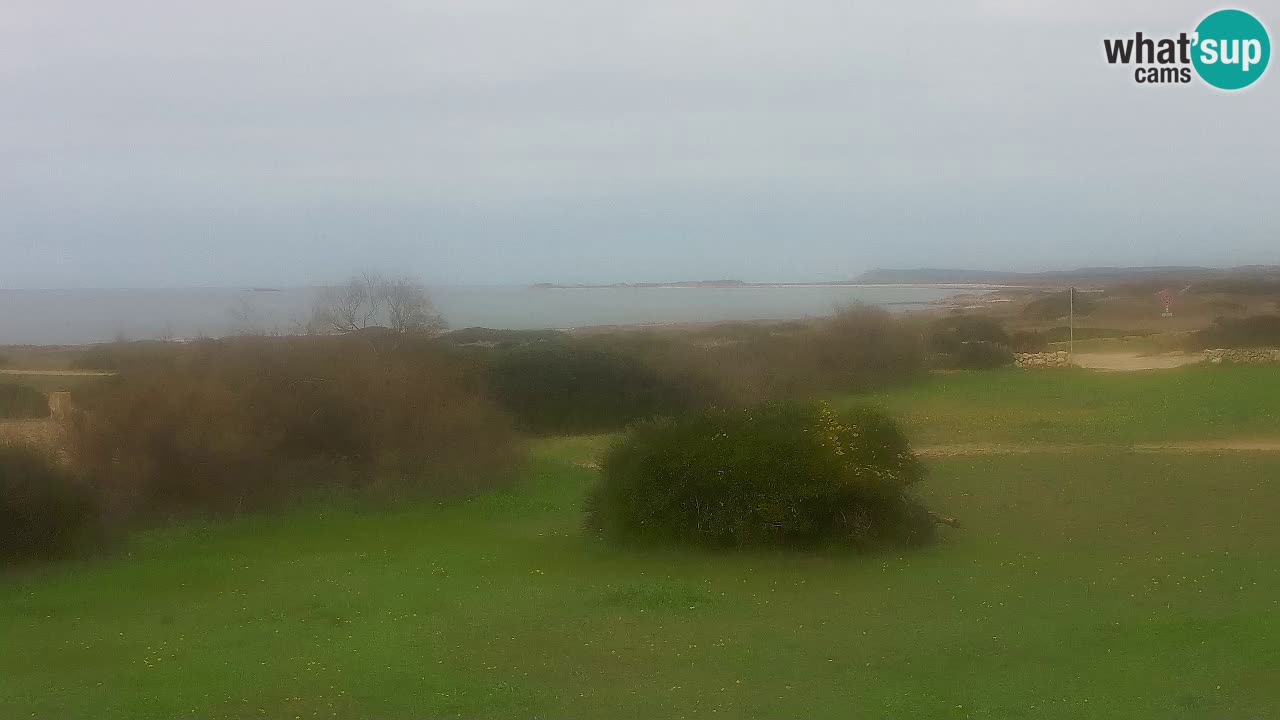 Plaža Mari Ermi | Is Arutas – Oristano