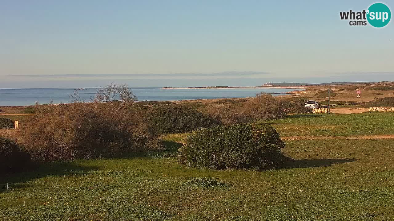 Plage Mari Ermi | Is Arutas – Oristano