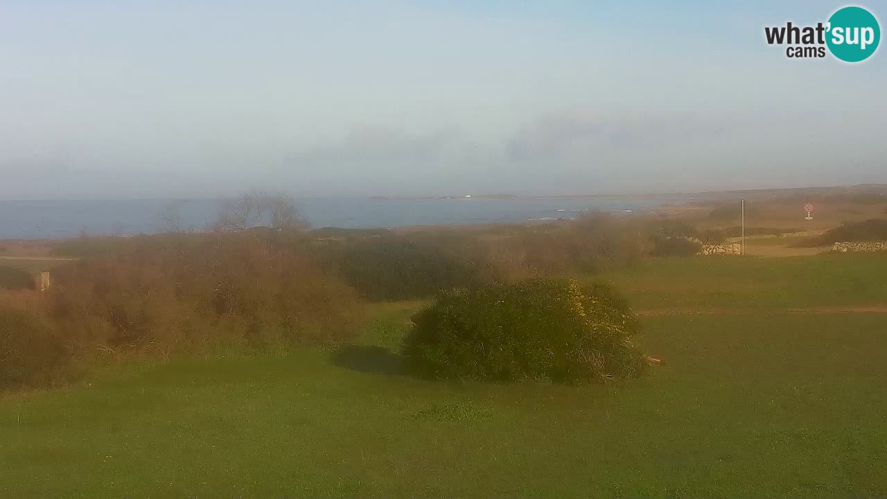 Mari Ermi Strand | Is Arutas – Oristano