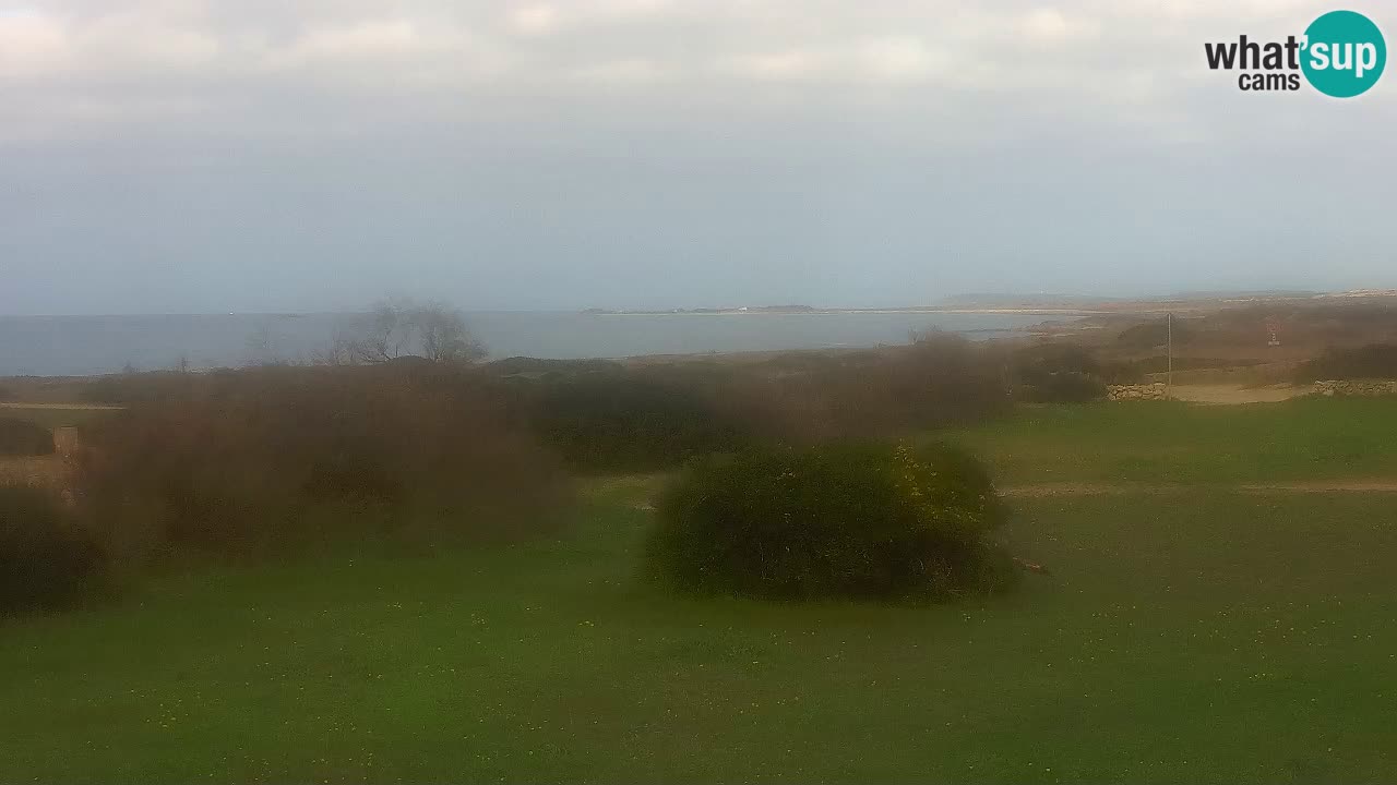 Plaža Mari Ermi | Is Arutas – Oristano