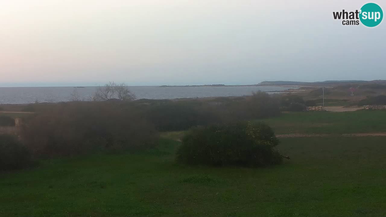 Playa Mari Ermi | Is Arutas – Oristano