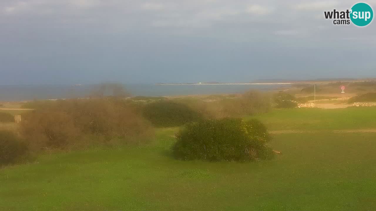 Mari Ermi beach | Is Arutas – Oristano