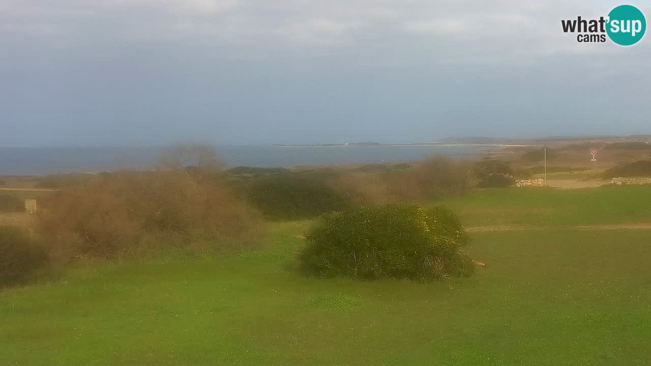 Mari Ermi Strand | Is Arutas – Oristano