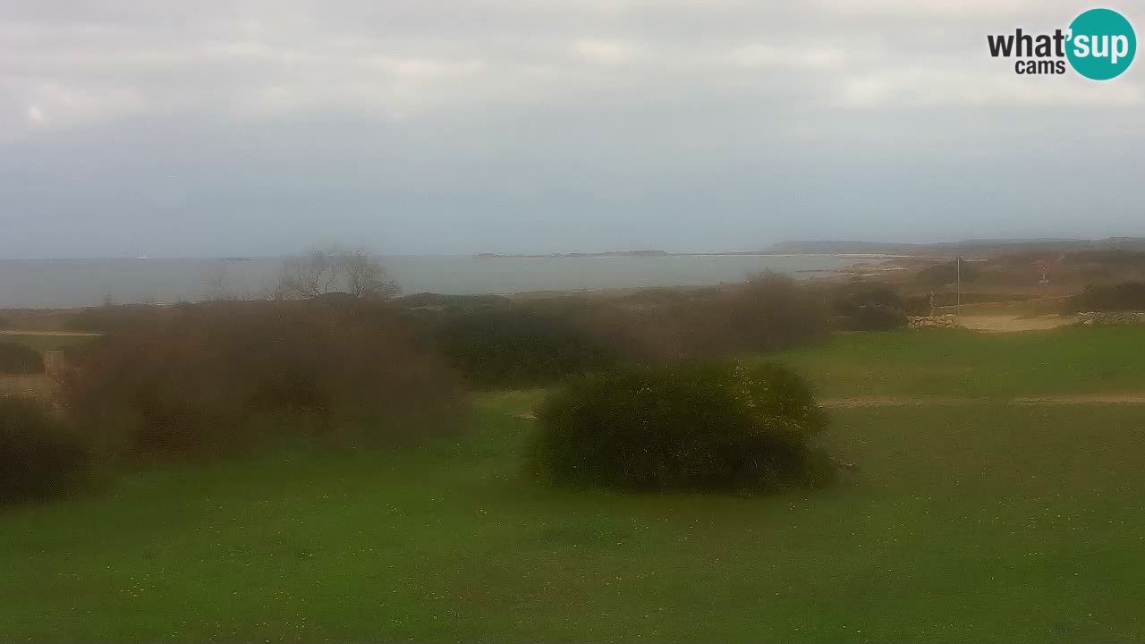 Mari Ermi Strand | Is Arutas – Oristano