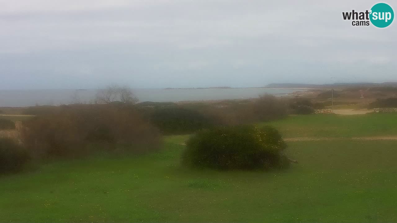 Mari Ermi Strand | Is Arutas – Oristano