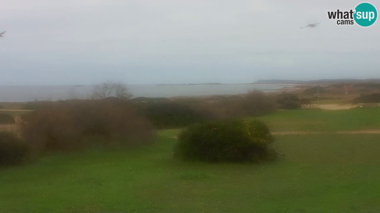 Spiaggia Mari Ermi | Is Arutas – Oristano