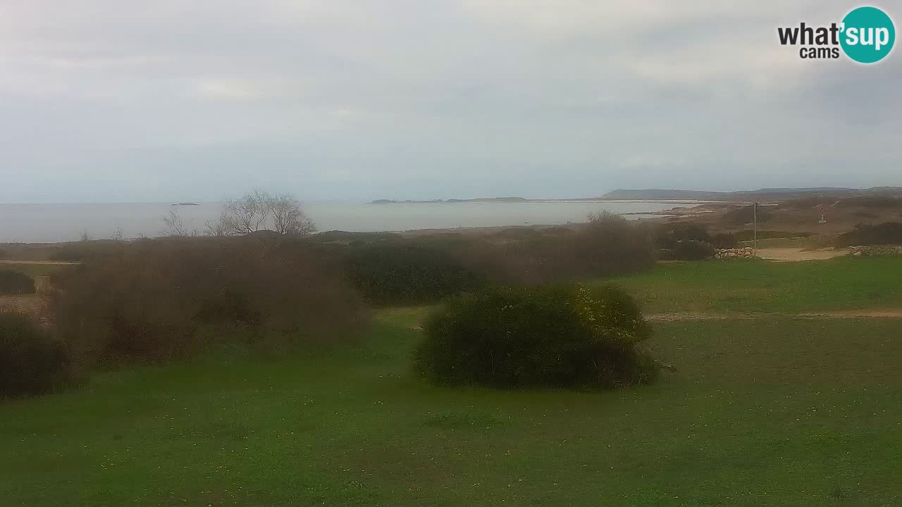 Plage Mari Ermi | Is Arutas – Oristano