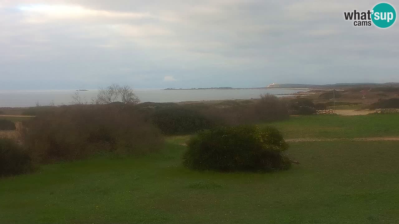 Playa Mari Ermi | Is Arutas – Oristano