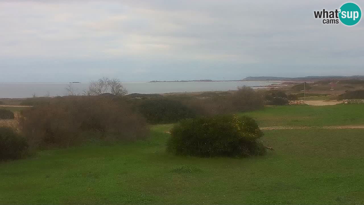 Plaža Mari Ermi | Is Arutas – Oristano