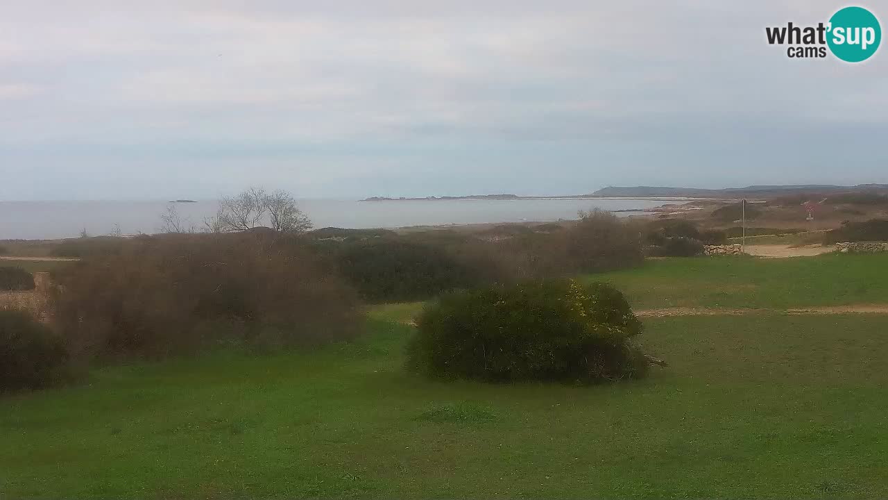 Plaža Mari Ermi | Is Arutas – Oristano