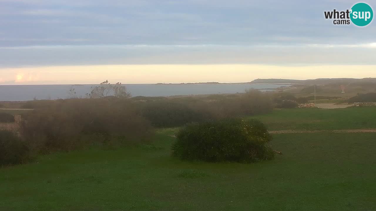 Mari Ermi Strand | Is Arutas – Oristano