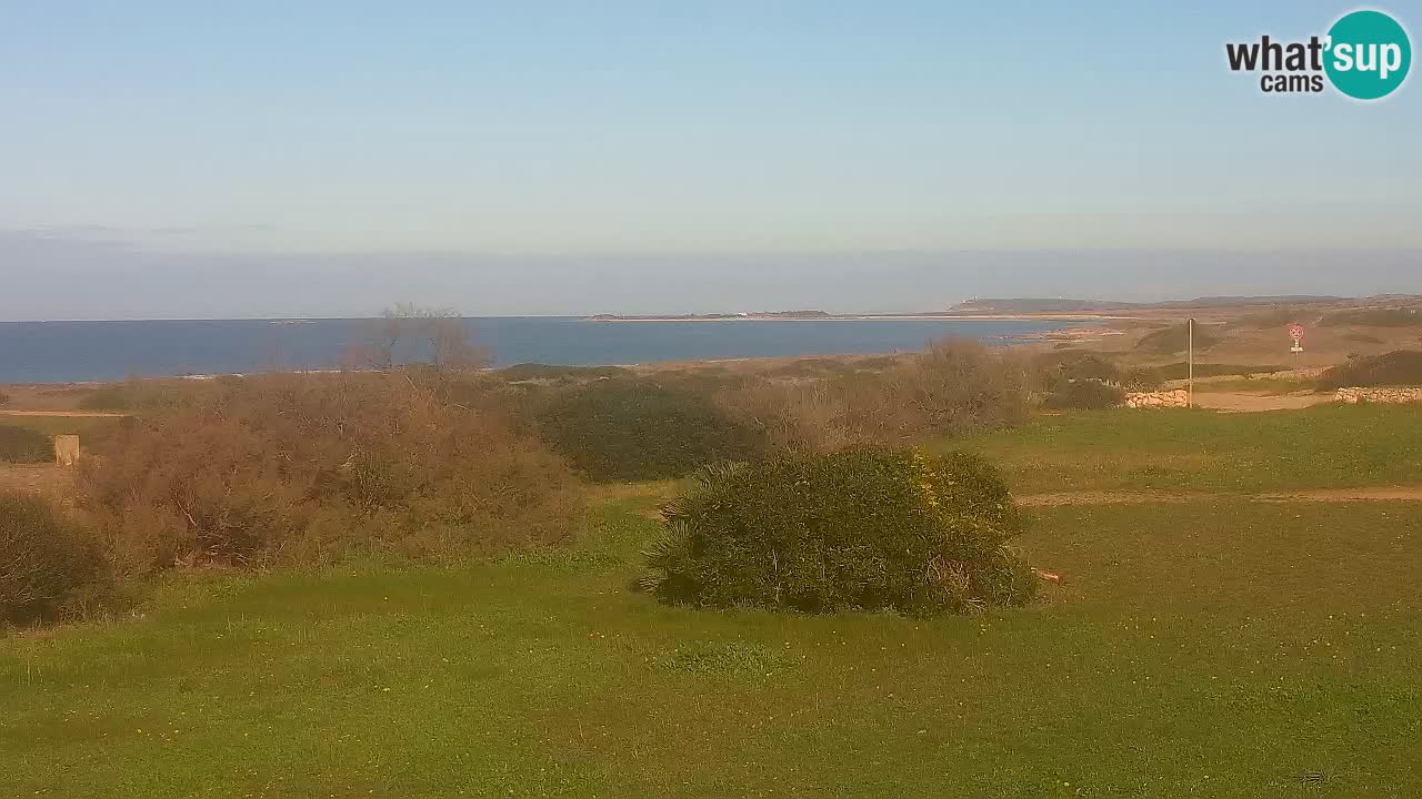 Spiaggia Mari Ermi | Is Arutas – Oristano