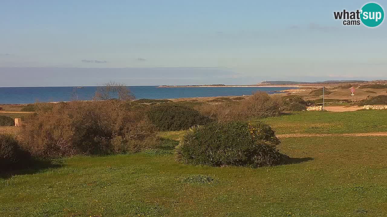 Mari Ermi Strand | Is Arutas – Oristano
