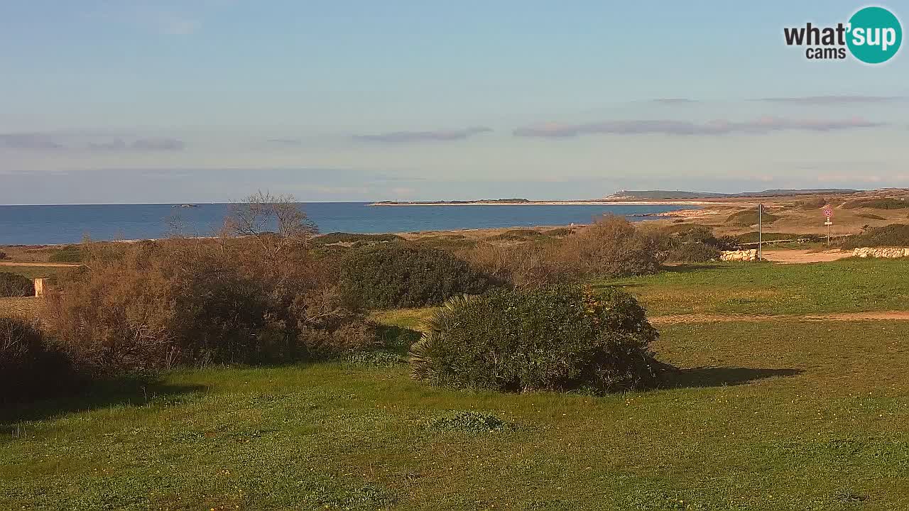 Spiaggia Mari Ermi | Is Arutas – Oristano