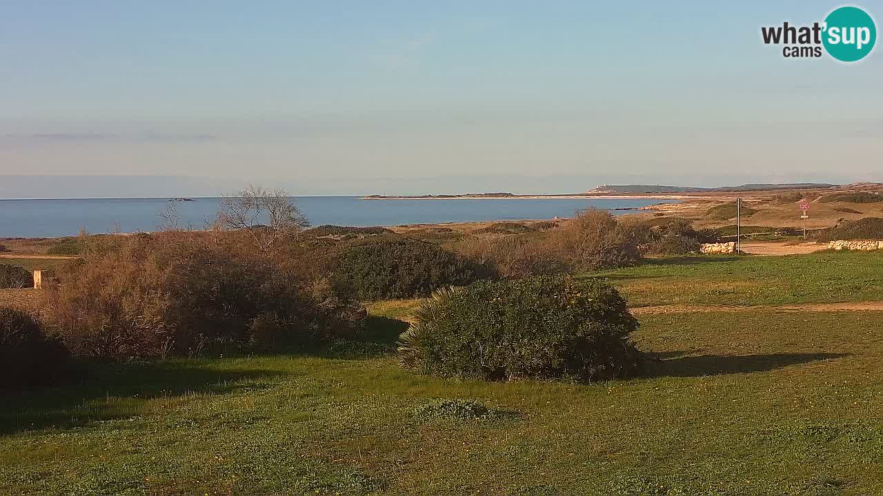 Plage Mari Ermi | Is Arutas – Oristano