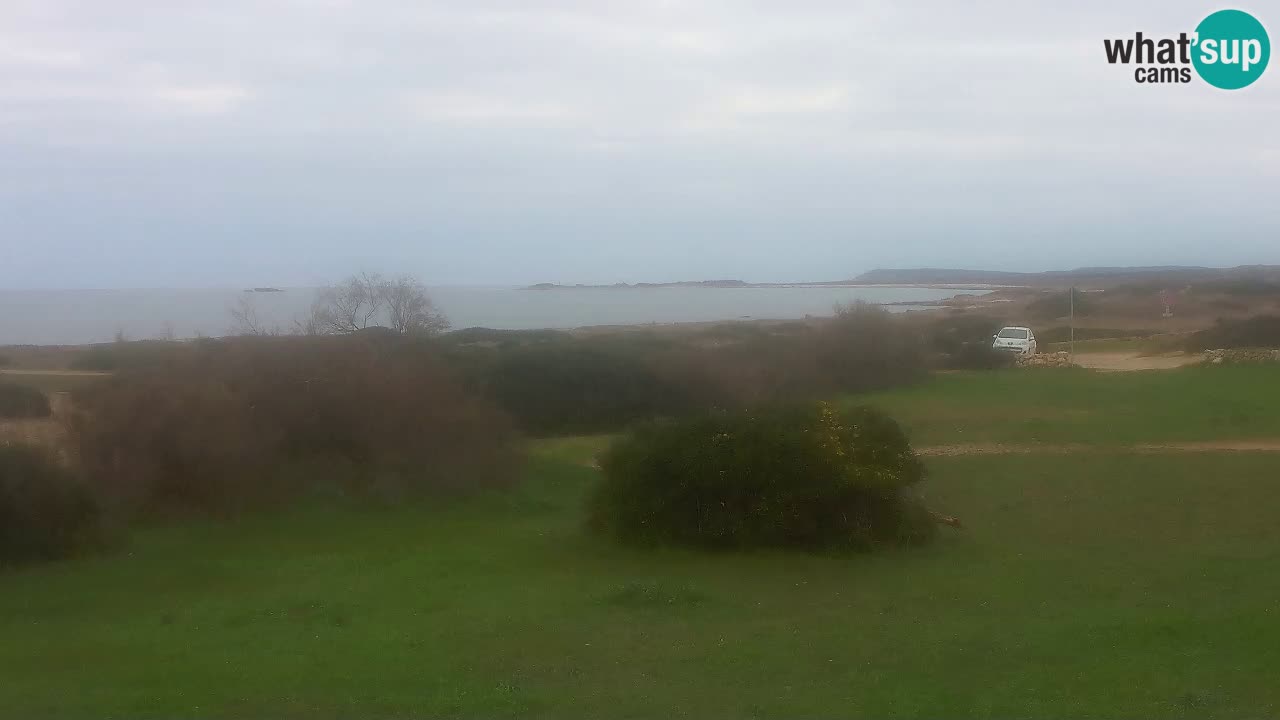 Mari Ermi Strand | Is Arutas – Oristano