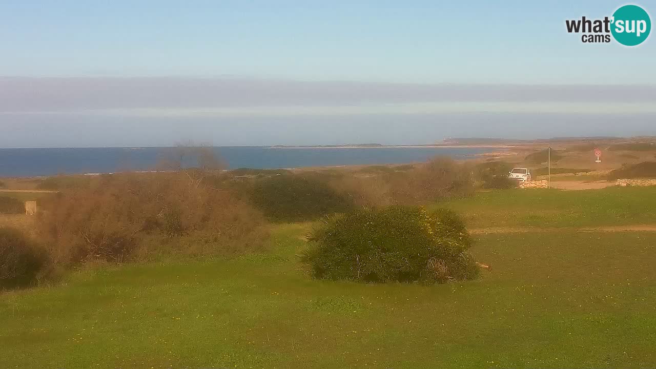 Mari Ermi Strand | Is Arutas – Oristano