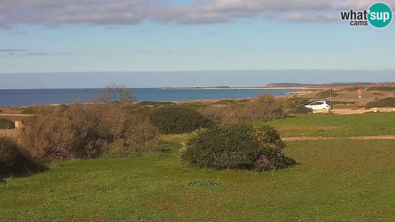 Mari Ermi Strand | Is Arutas – Oristano