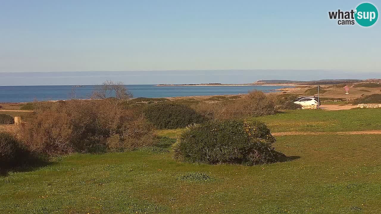 Mari Ermi Strand | Is Arutas – Oristano