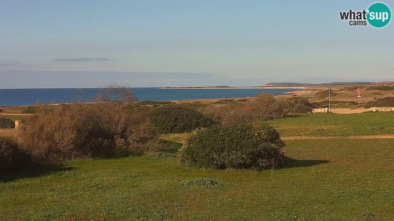 Playa Mari Ermi | Is Arutas – Oristano
