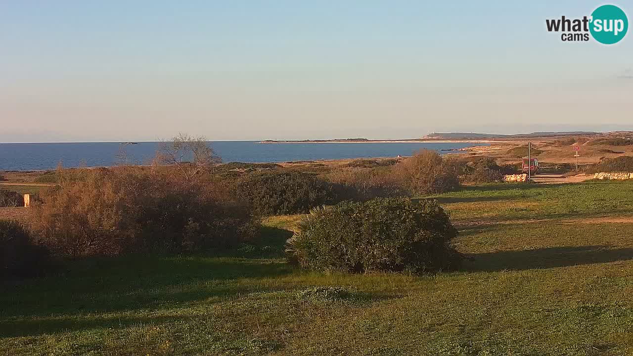 Plaža Mari Ermi | Is Arutas – Oristano