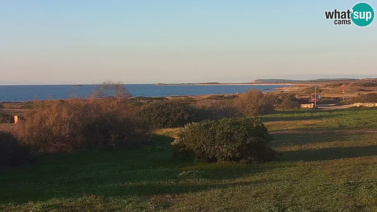 Spiaggia Mari Ermi | Is Arutas – Oristano