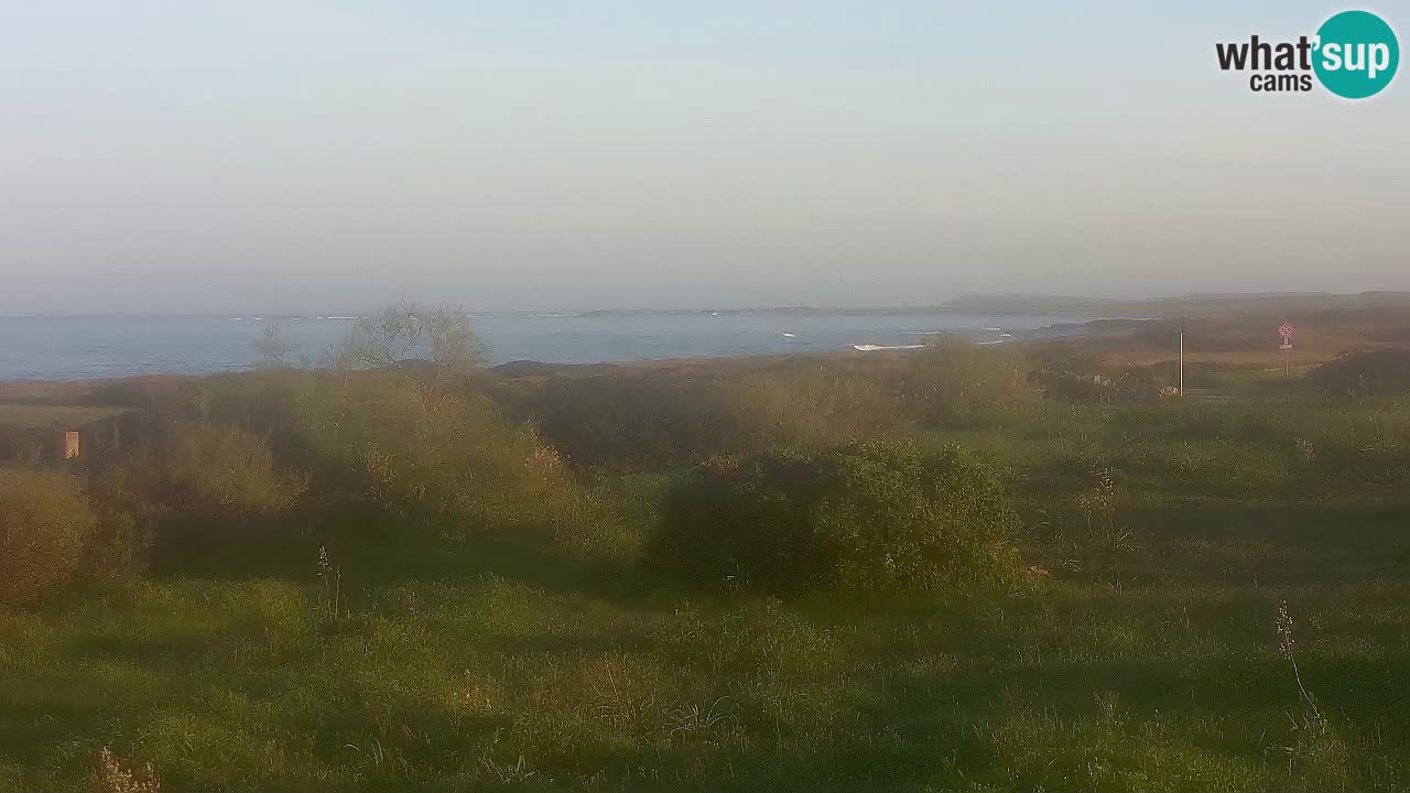 Mari Ermi Strand | Is Arutas – Oristano