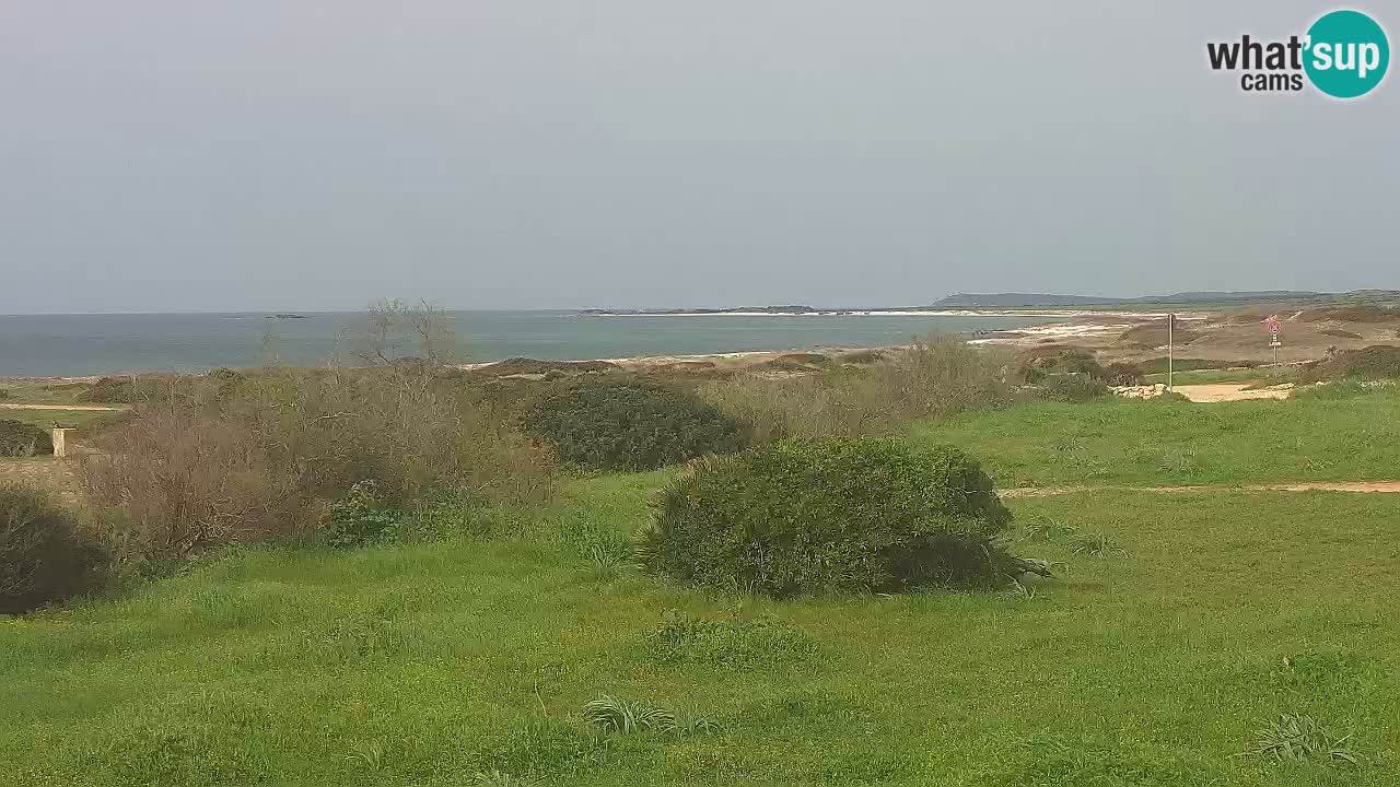 Spiaggia Mari Ermi | Is Arutas – Oristano
