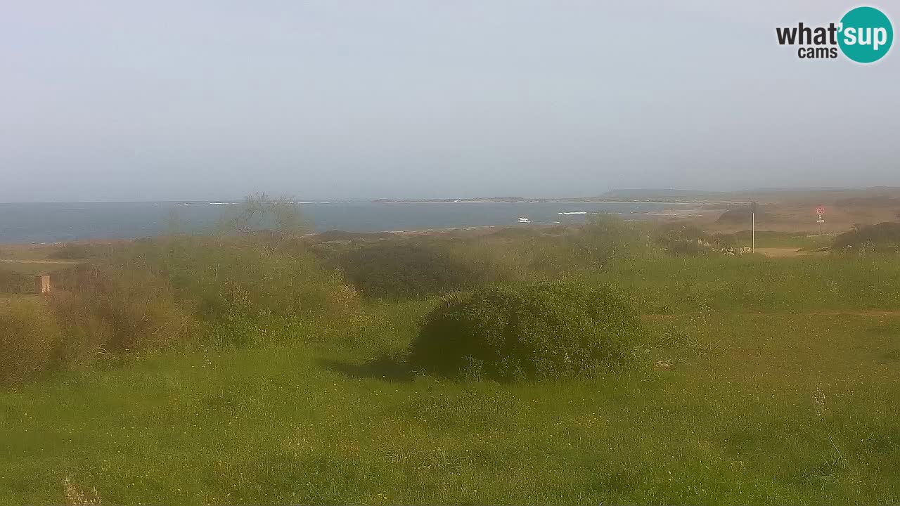 Plaža Mari Ermi | Is Arutas – Oristano